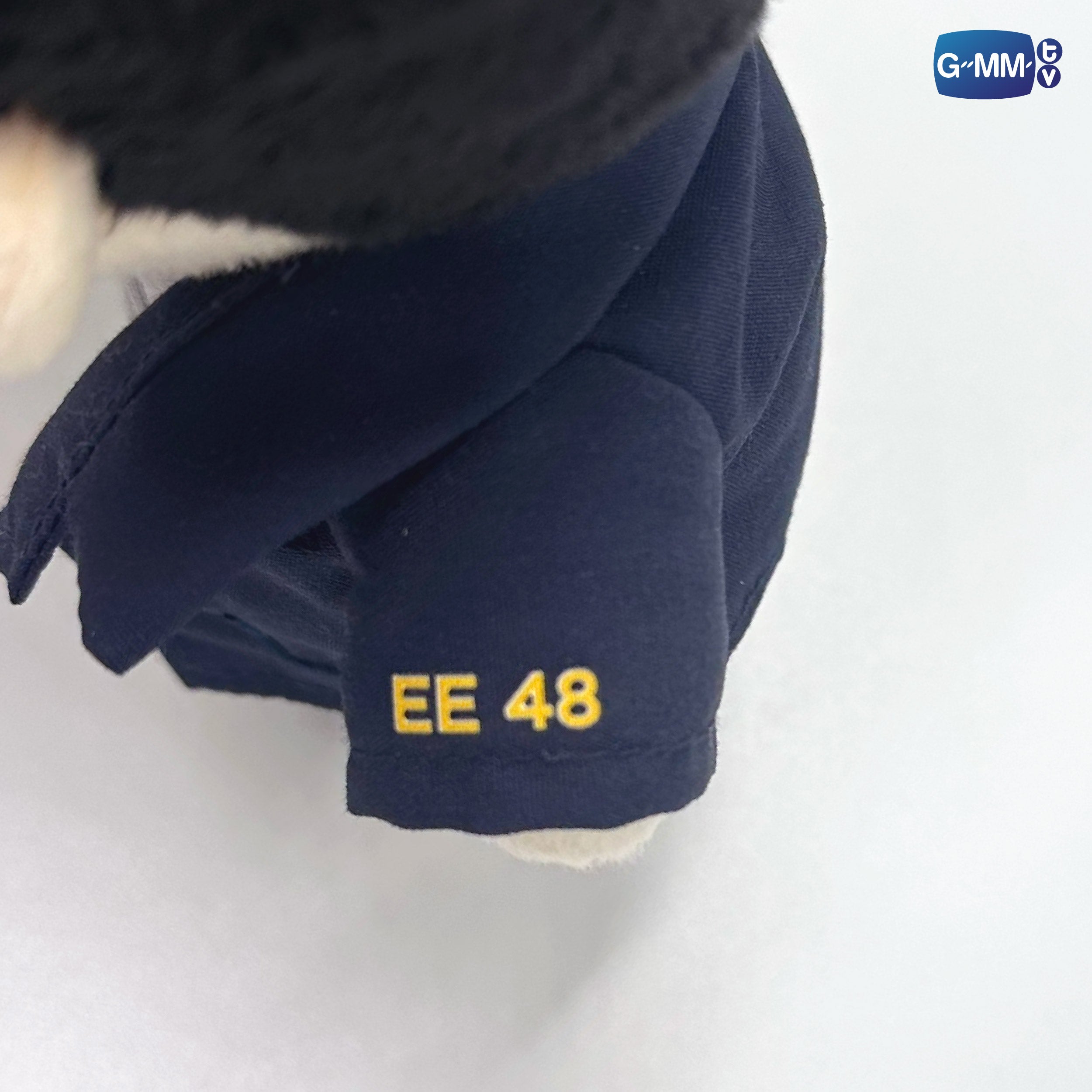 その他 GMMTV Junior Doll PF010- JUNIOR PLUSH DOLL | สายรหัสเทวดา PERFECT 10 LINERS